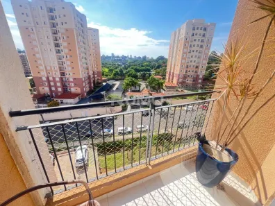 Apartamento com 3 Quartos à venda, 63m² no Vila Satúrnia, Campinas