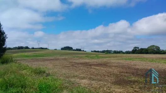 Fazenda/Sítio com 3 Quartos à venda, 48400m² no Faxinal dos Ribeiros, Pinhão