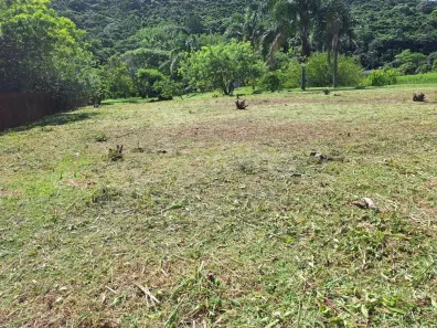 Lote/Terreno à venda, 375m² no Pântano do Sul, Florianópolis