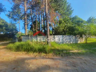 Lote/Terreno à venda, 586m² no Gramado, Cotia