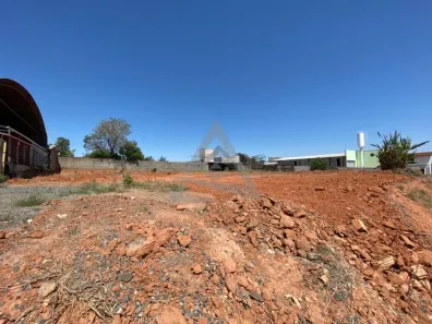 Lote/Terreno para alugar, 5300m² no Chácaras São Martinho, Campinas