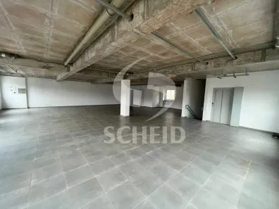 Prédio Comercial para alugar, 600m² no Cidade Ademar, São Paulo