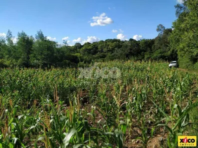 Lote/Terreno à venda, 5000m² no Linha Olinda, Nova Petrópolis
