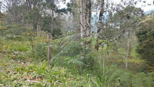 Lote/Terreno à venda, 1315m² no , Rancho Queimado