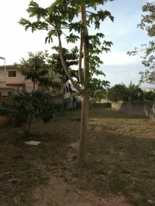 Lote/Terreno à venda, 770m² no Ingleses do Rio Vermelho, Florianópolis