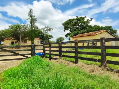 Fazenda/Sítio com 2 Quartos à venda, 532400m² no Área Rural de Itapetininga, Itapetininga