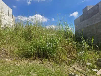 Lote/Terreno à venda, 125m² no Parque Alexandre, Cotia