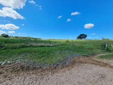 Fazenda/Sítio à venda, 1415700m² no São Vicente de Paula, Araruama