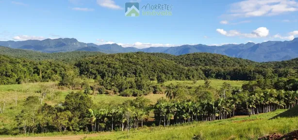 Lote/Terreno à venda, 20000m² no Vila dos Ferroviarios, Morretes