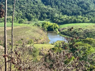 Fazenda/Sítio à venda, 2150000m² no , Ribeirão