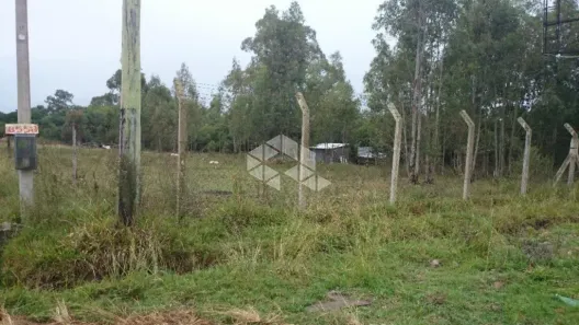 Lote/Terreno à venda, 10000m² no Fragata, Pelotas