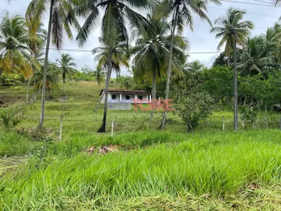 Lote/Terreno com 1 Quarto à venda, 40000m² no Jardim Atlântico, Ilhéus