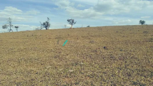 Fazenda/Sítio com 3 Quartos à venda, 5000m² no Centro, Serranos