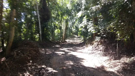 Fazenda/Sítio à venda, 50000m² no Ortizes, Piedade