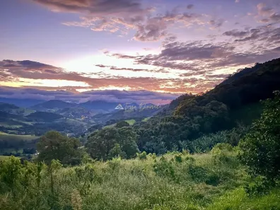 Fazenda/Sítio à venda, 133100m² no , São Bento do Sapucaí