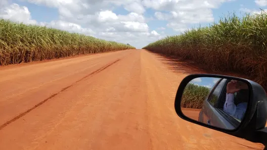 Fazenda/Sítio com 3 Quartos à venda, 85m² no Planalto do Sul, Teodoro Sampaio