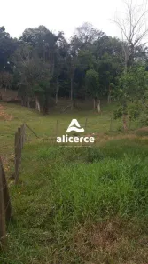 à venda, 7314m² no Picadas do Sul, São José