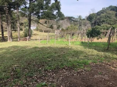 Lote/Terreno à venda, 10000m² no Santa Fé, Caxias do Sul