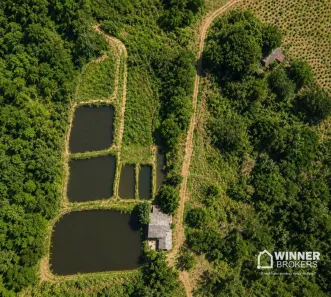Fazenda/Sítio à venda, 196020m² no Jardim Alamar, Maringá