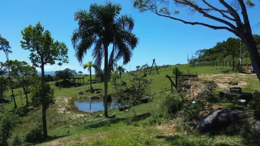 Fazenda/Sítio à venda, 2000m² no Santa Rita, Paulo Lopes
