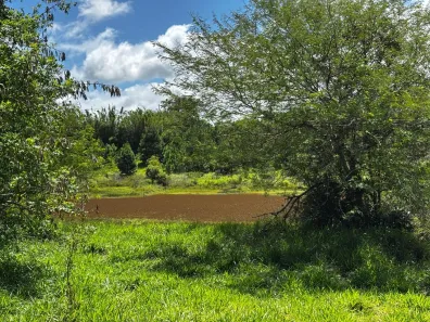 Fazenda/Sítio com 2 Quartos à venda, 120m² no Fiuza, Viamão