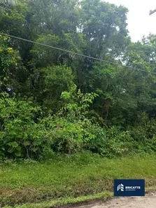 Lote/Terreno à venda, 280m² no Jardim Coronel, Itanhaém
