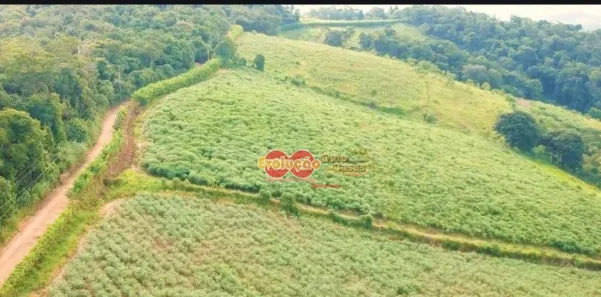 Lote/Terreno à venda, 20535m² no Tanque, Atibaia