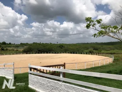 Lote/Terreno à venda, 750m² no Ferreiro Torto, Macaíba
