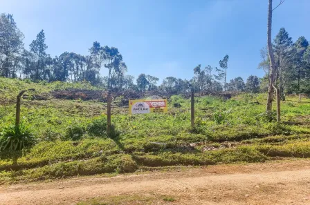 Lote/Terreno à venda, 10000m² no Area Rural, Tijucas do Sul