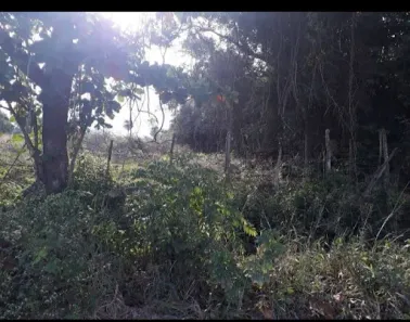 Fazenda/Sítio à venda, 100159m² no Santa Alice, Itaguaí