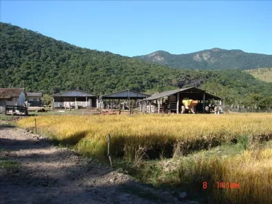 Fazenda/Sítio com 6 Quartos à venda, 2140000m² no , Paulo Lopes