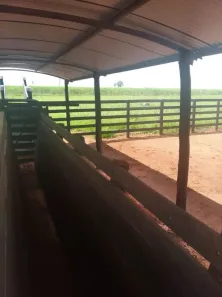 Fazenda/Sítio com 2 Quartos à venda, 300m² no Centro, Presidente Prudente
