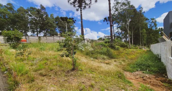 Lotes/Terrenos à venda em Caxias do Sul, RS - Viva Real