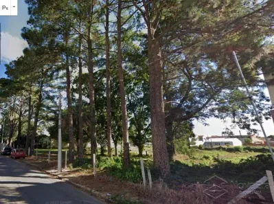Lote/Terreno à venda, 2861m² no Camobi, Santa Maria