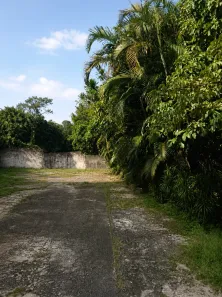 Lote/Terreno à venda, 1000m² no Pechincha, Rio de Janeiro