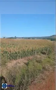 Fazenda/Sítio com 3 Quartos à venda, 60m² no Setor Central, Rio Verde