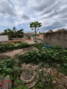 Lote/Terreno à venda, 350m² no Jaguaré, São Paulo