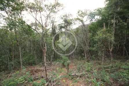 Lote/Terreno à venda, 1019m² no Canto da Mata, Nova Lima