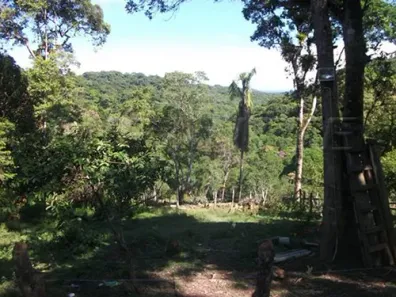 Fazenda/Sítio com 3 Quartos à venda, 200m² no Jardim Eliana A, Juquitiba
