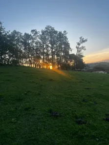Lote/Terreno à venda, 1000m² no Jardim Selma, São Paulo