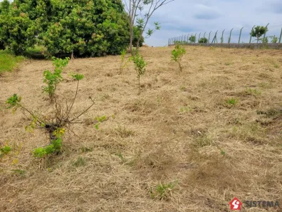 Fazenda/Sítio à venda, 1m² no Vila Maria, Presidente Prudente