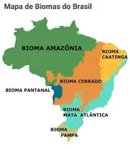 Fazenda/Sítio à venda, 20000000m² no Centro, Carauari
