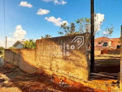 Lote/Terreno à venda, 542m² no Uvaranas, Ponta Grossa