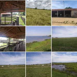 Fazenda/Sítio com 3 Quartos à venda, 120m² no , Presidente Epitácio