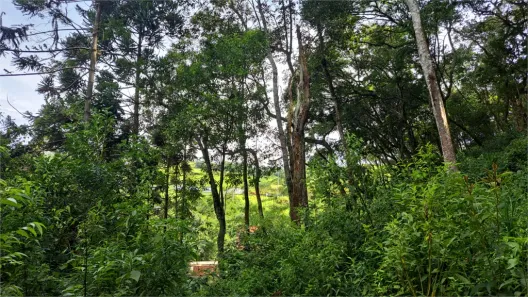 Lote/Terreno à venda, 45267m² no Mato Dentro, Mairiporã