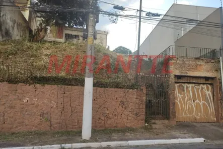 Lote/Terreno à venda, 493m² no Vila Albertina, São Paulo