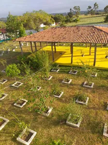 Fazenda/Sítio com 5 Quartos à venda, 13000m² no , Monte Alegre