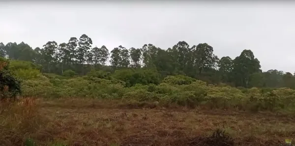 Fazenda/Sítio à venda, 10000m² no , Desterro de Entre Rios