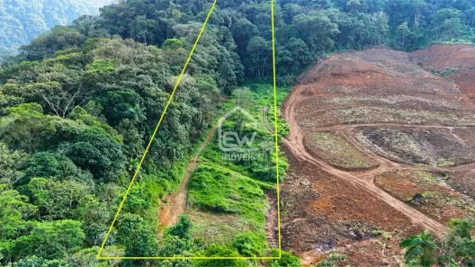 Fazenda/Sítio com 1 Quarto à venda, 23000m² no , Schroeder