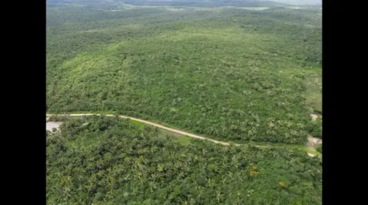 Fazenda/Sítio com 1 Quarto à venda, 10000m² no , Chapadinha